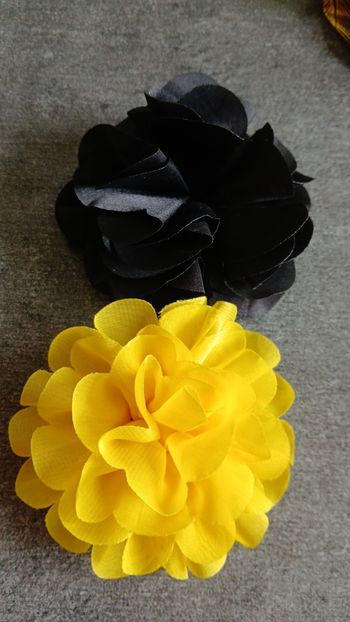 Fleurs 