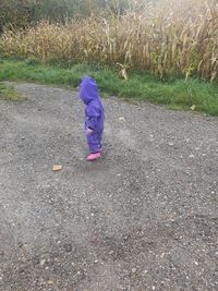 profil