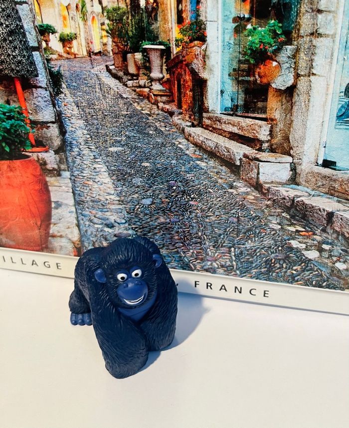 Tonie les As de la jungle