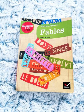 Livre Fables de Jean de la Fontaine 🖤