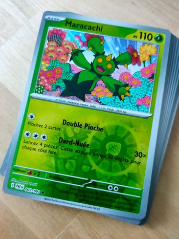 Reverses Destinées de Paldea (PAF)