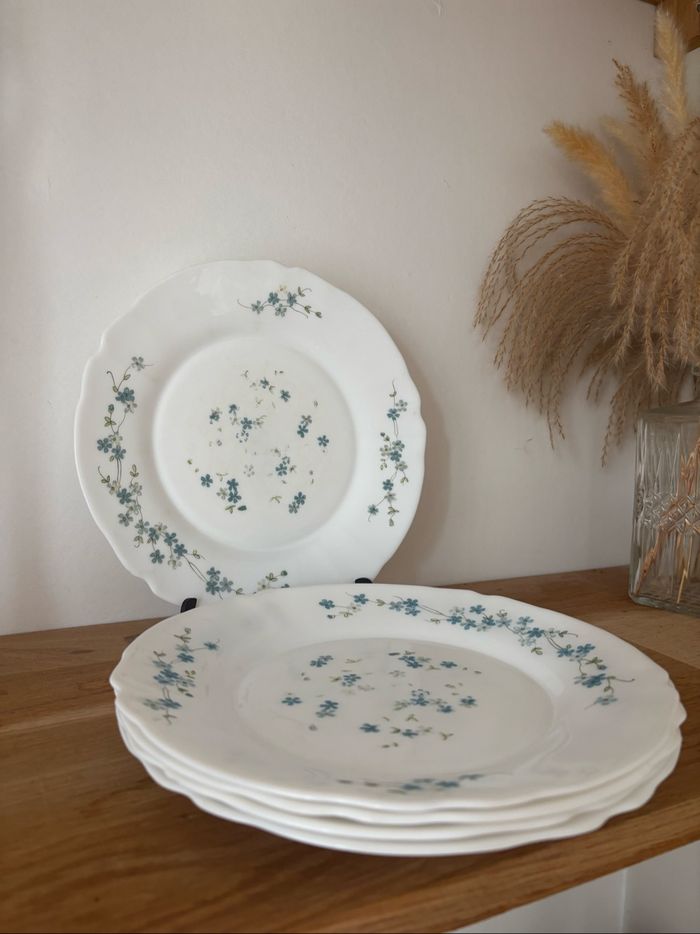 Vintage lot de 5 assiettes plates Arcopal véronica myosotis