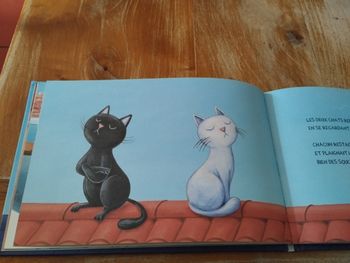 Livre chat noir et chat blanc