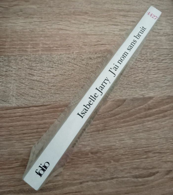 Isabelle Jarry 🪅 J'ai nom sans bruit - photo numéro 3