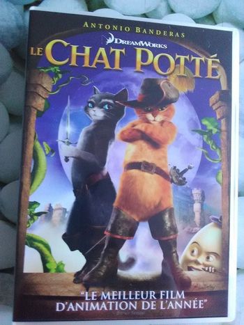 DVD LE CHAT POTTE