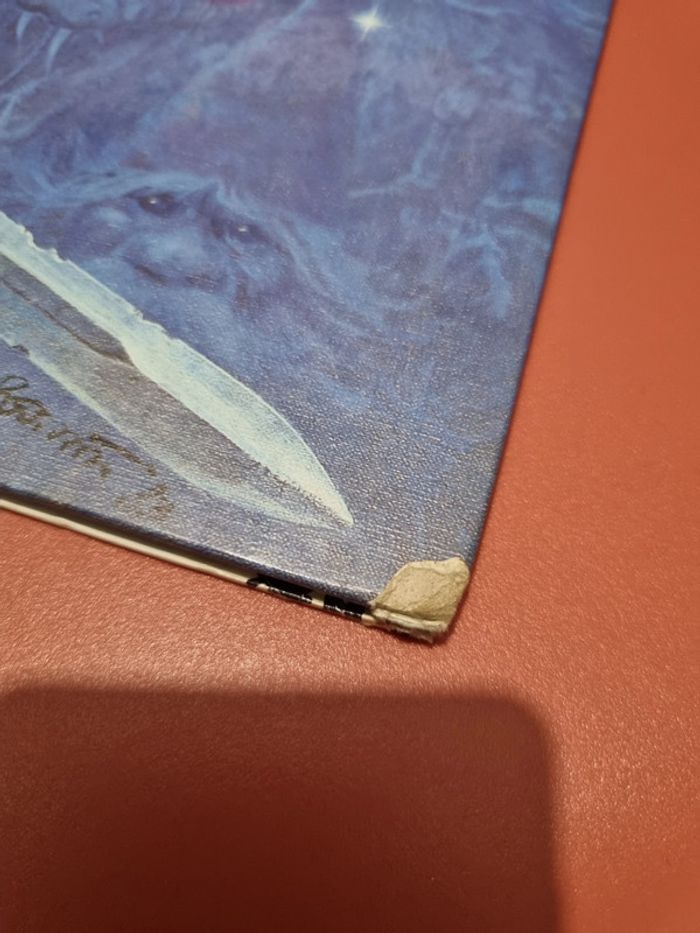 lot de Bd Thorgal Jean Van Hame et grzegorz Rosinski - photo numéro 12