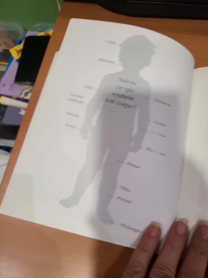 Cache cache avec corps humain - photo numéro 13