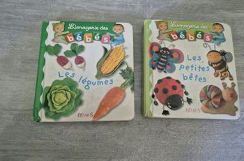 Lot de 2 imagiers des bebe