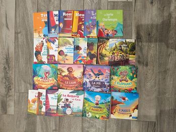 Livres McDo macdo mac Donald's en lot ou à l' unité