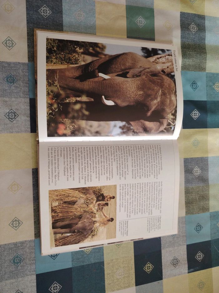 Livre sur l'éléphant - photo numéro 4