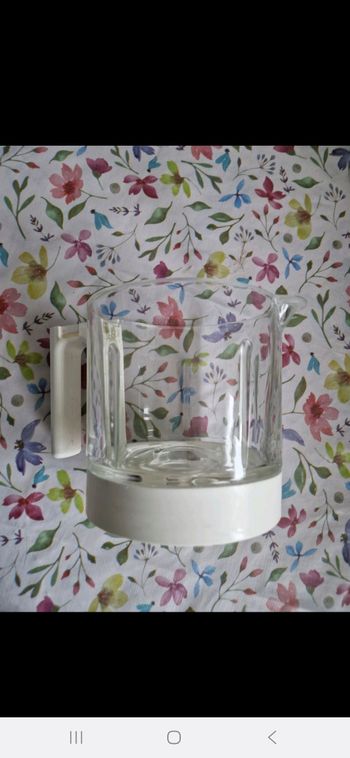 Bol en verre babycook neo