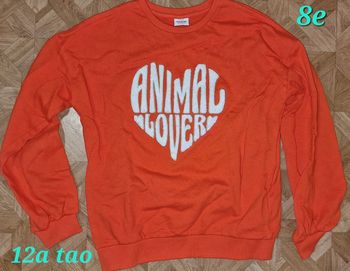 Pull 12ans tape à l'œil