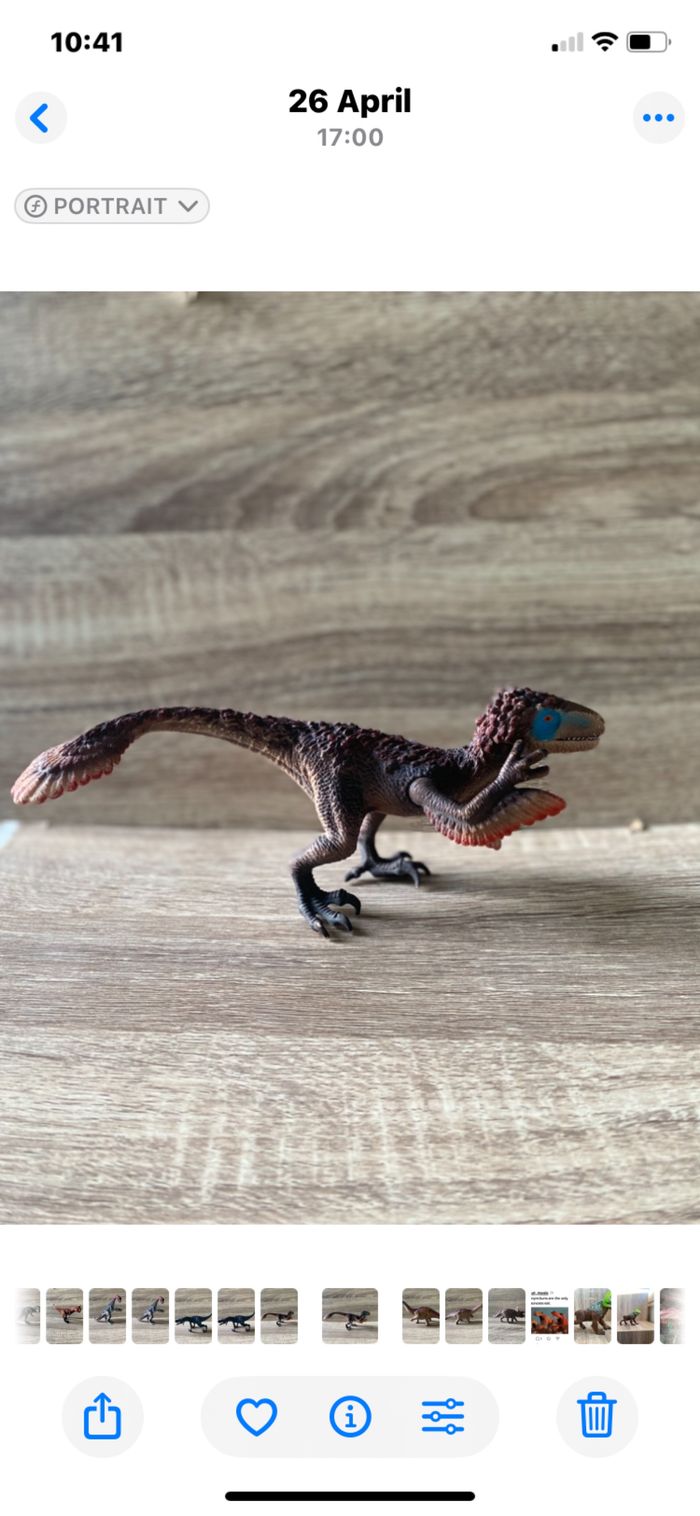 Dinosaur velociraptor