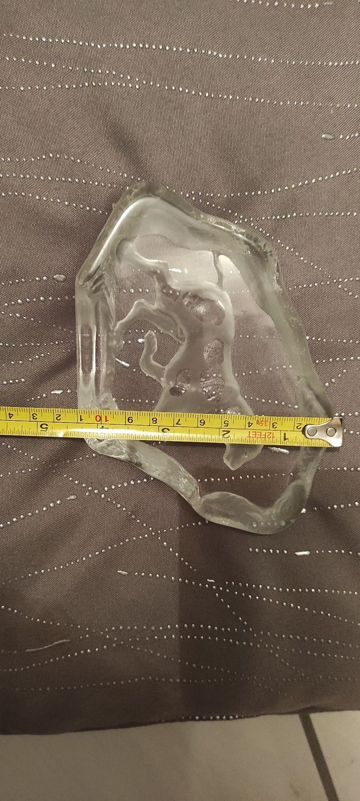 Chiens crystal d'Arques - photo numéro 4