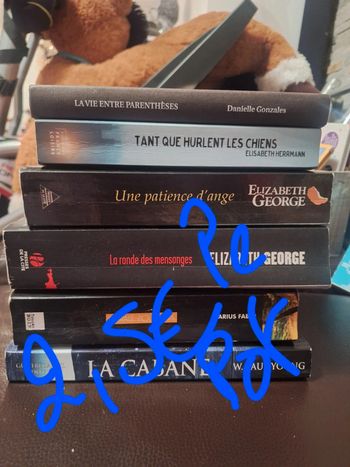 Très gros lot de livre pas chère