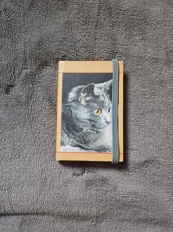 Répertoire téléphonique Chat
