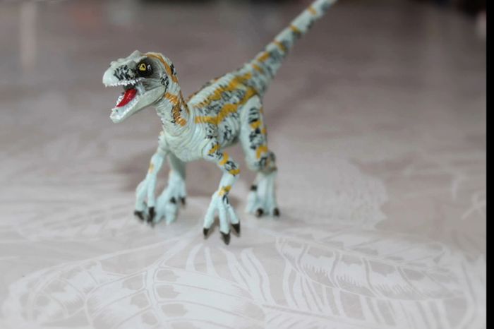 dinosaure Velosiraptor - photo numéro 3