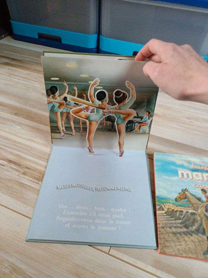 Livres - photo numéro 4