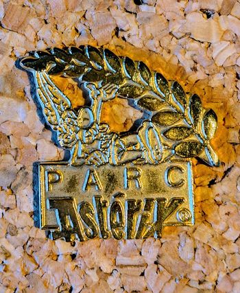 Pin's Parc Astérix