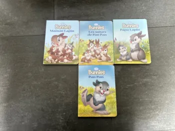 Livres bunnies