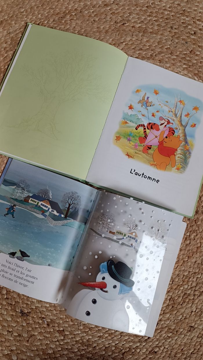 Lot de 2 livres éducatifs sur les saisons - photo numéro 2