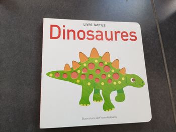 Livre tactile Dinosaures 