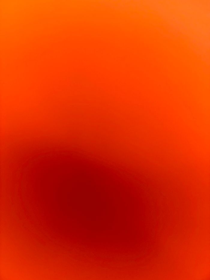 Recherche assise cybex gazelle S