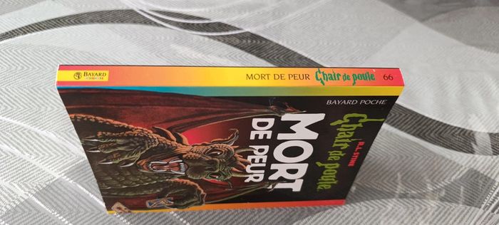 Livre chair de poule - photo numéro 3