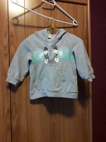 Sweat capuche gris orchestra