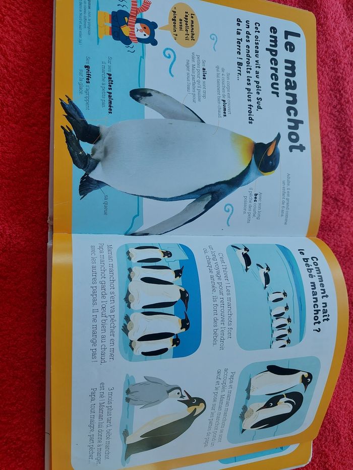 Encyclopedie 2-5ans Dokeo des animaux - photo numéro 7