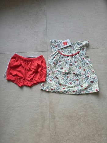 Ensemble motif coccinelles 