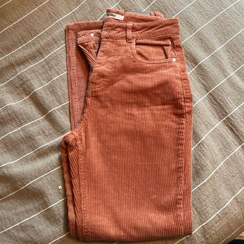 Pantalon velours
