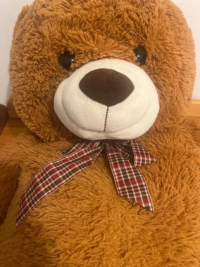 Nounours - photo numéro 2