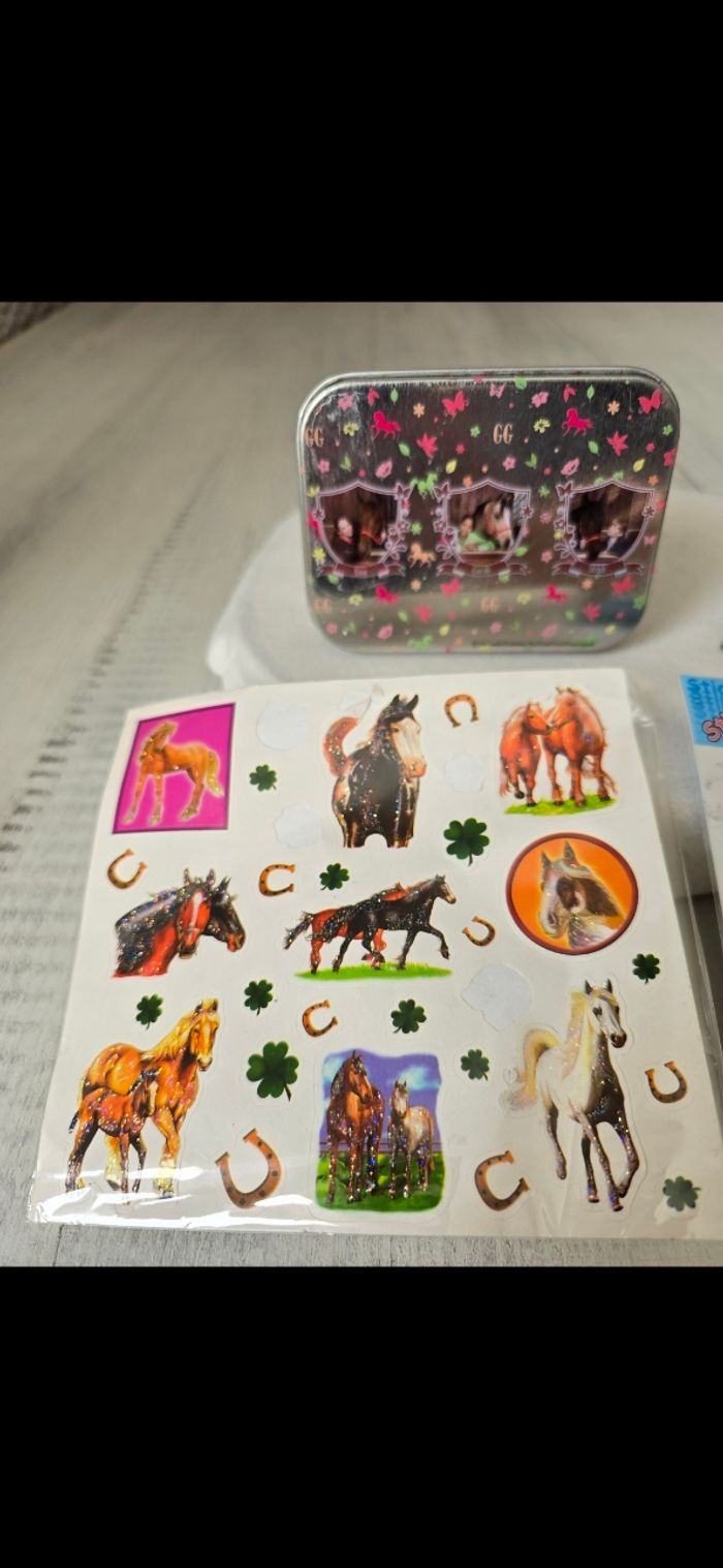 Boîte-figurine et stickers chevaux - photo numéro 3
