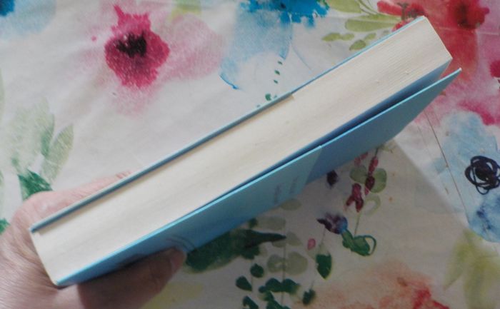 LA VIERGE EN BLEU de Tracy CHEVALIER Ed. Quai Voltaire - photo numéro 7