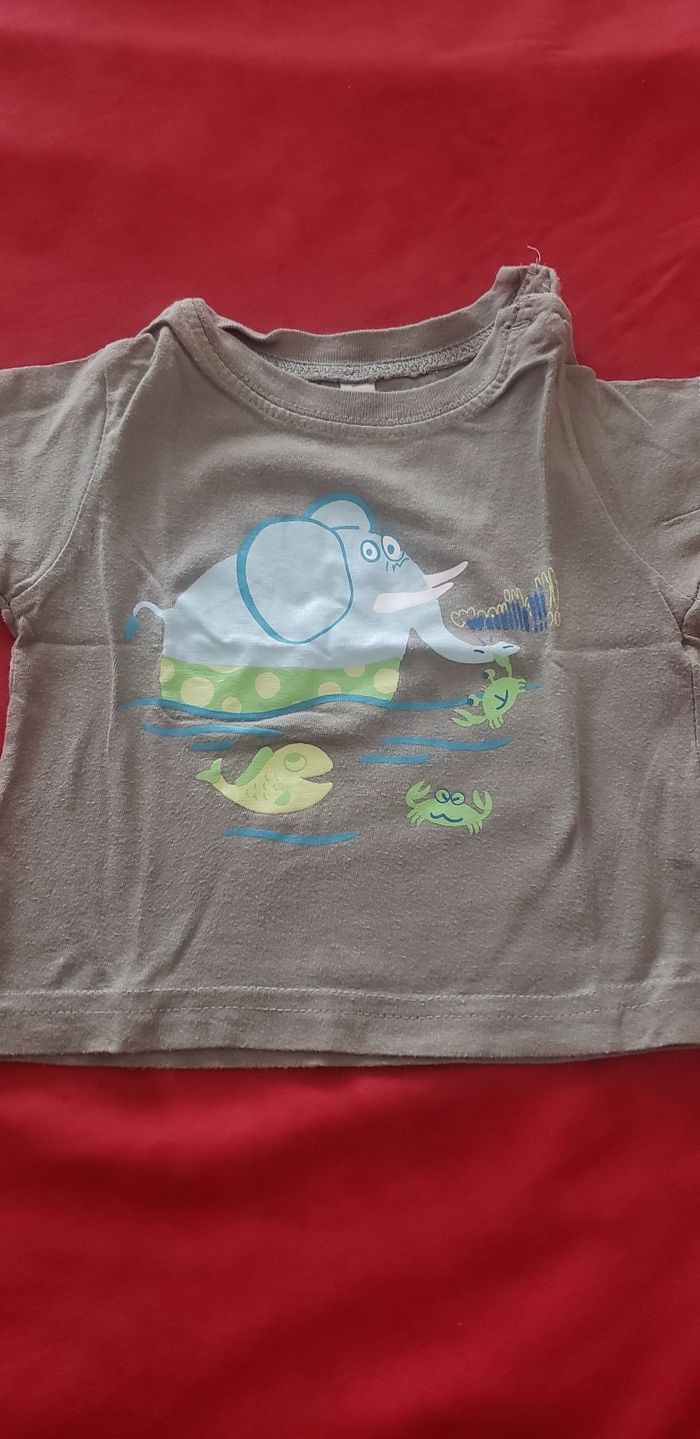 Lot de 5 Tee-shirts T 12 mois - photo numéro 6