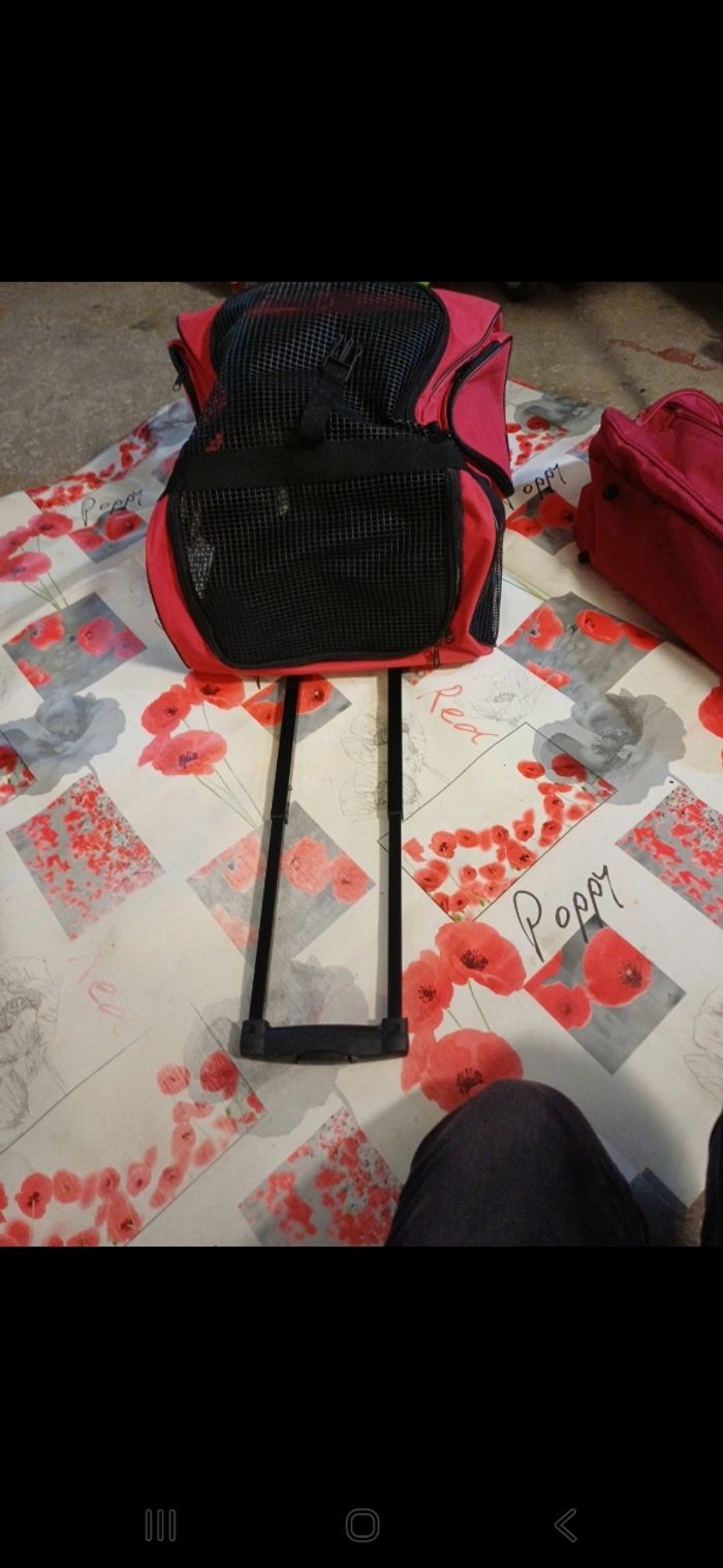 Valise d'animaux - photo numéro 5