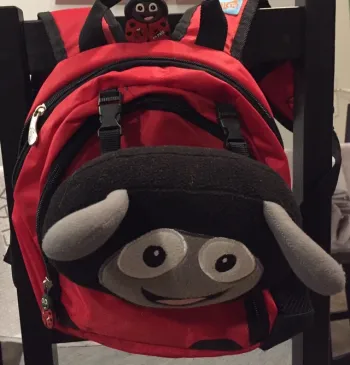 Petit sac coccinelle