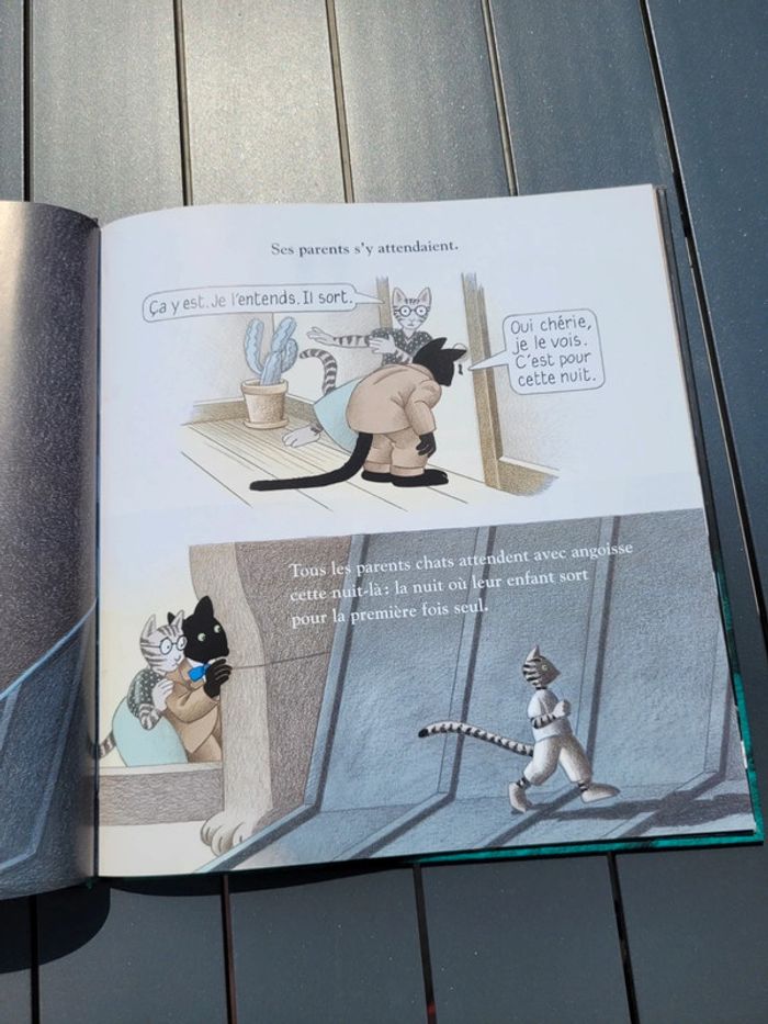 Livre Une nuit, un chat Yvan Pommaux - photo numéro 3