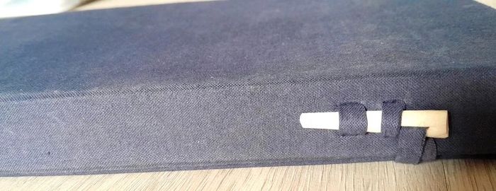 Victor Segalen- Odes - photo numéro 6