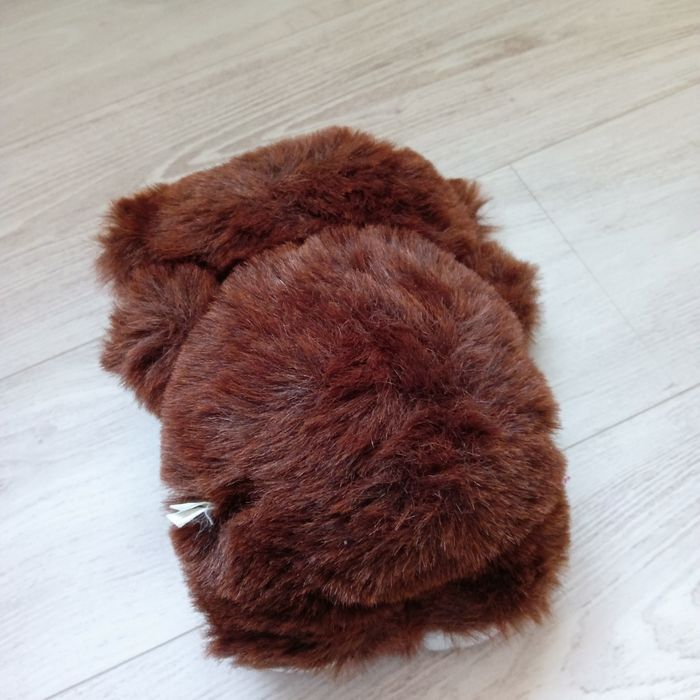 ourson - photo numéro 4