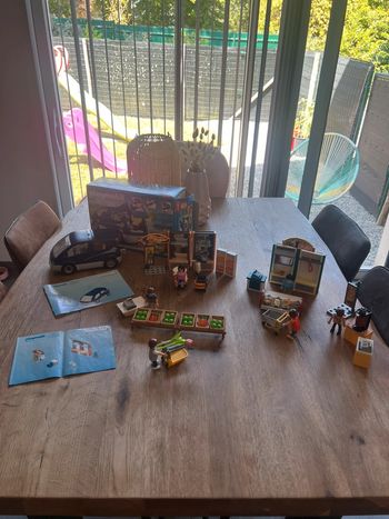 Ensemble playmobil 🌸