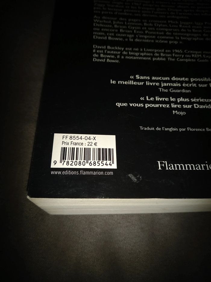 Livre David bowie une étrange fascination - photo numéro 7