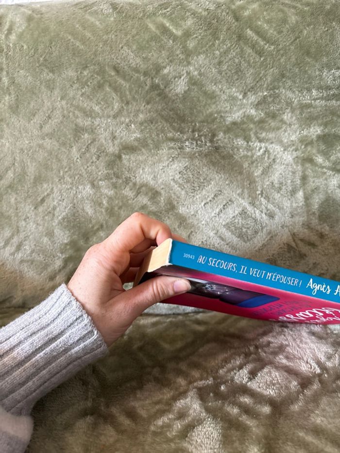 Livre au secours il veut m’épuiser ! - photo numéro 4