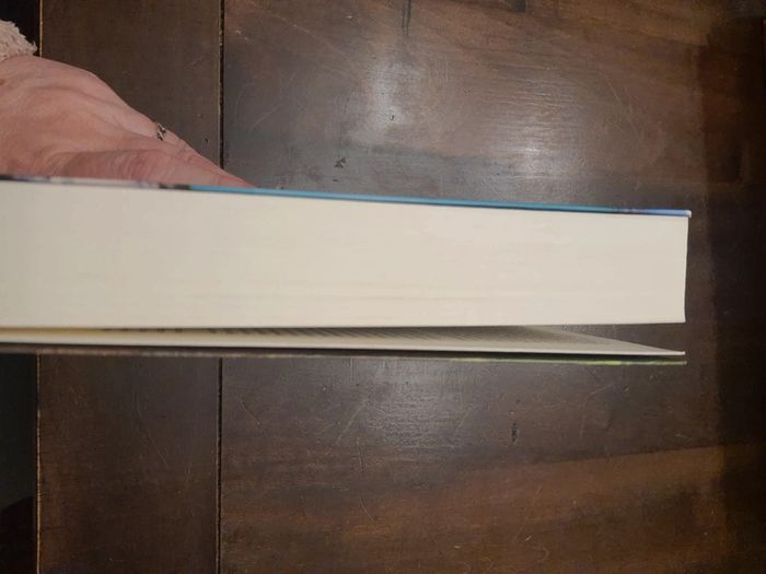 Boek Blauwe maandag Nicci French - photo numéro 9