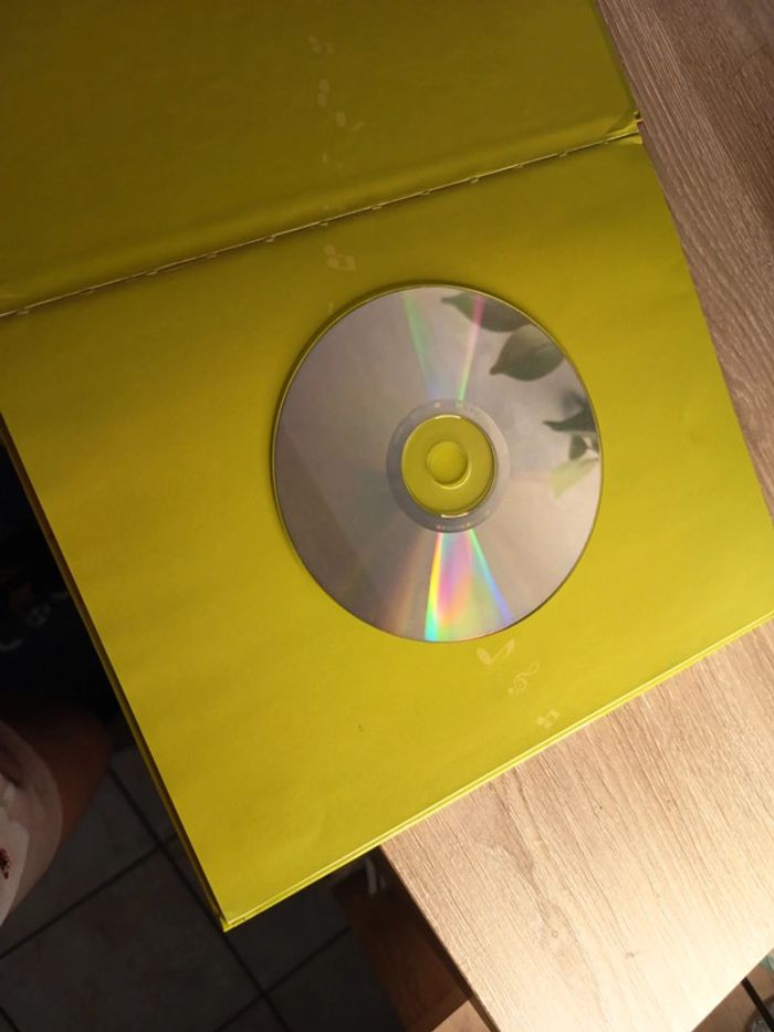 Conte musical avec CD – Pierre et la pluie magique - photo numéro 4