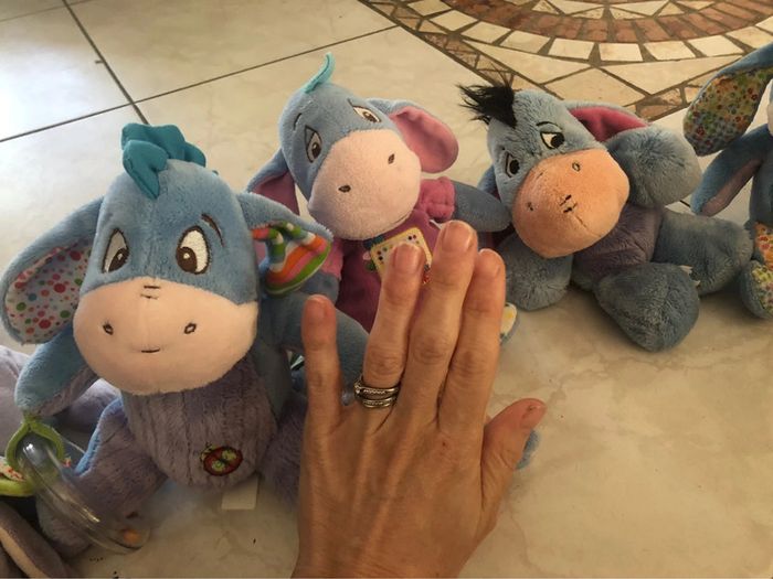 Lot bourriquet - photo numéro 5