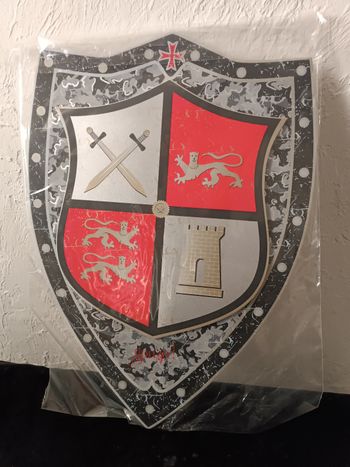 Déguisement bouclier Souza