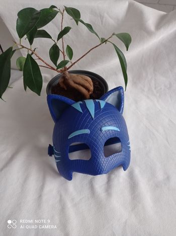 Masque pyjamasques bleu / yoyo