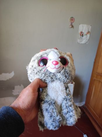 Peluche  chat